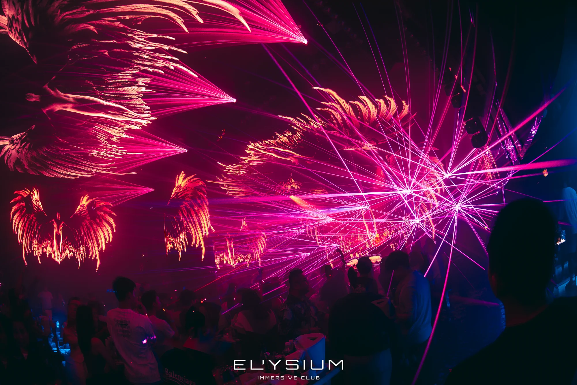 Pink and magenta laser phoenix show